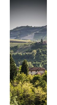 Vine fra Piemonte, Jysk Vin Vinbar - Vinsmagninger og events